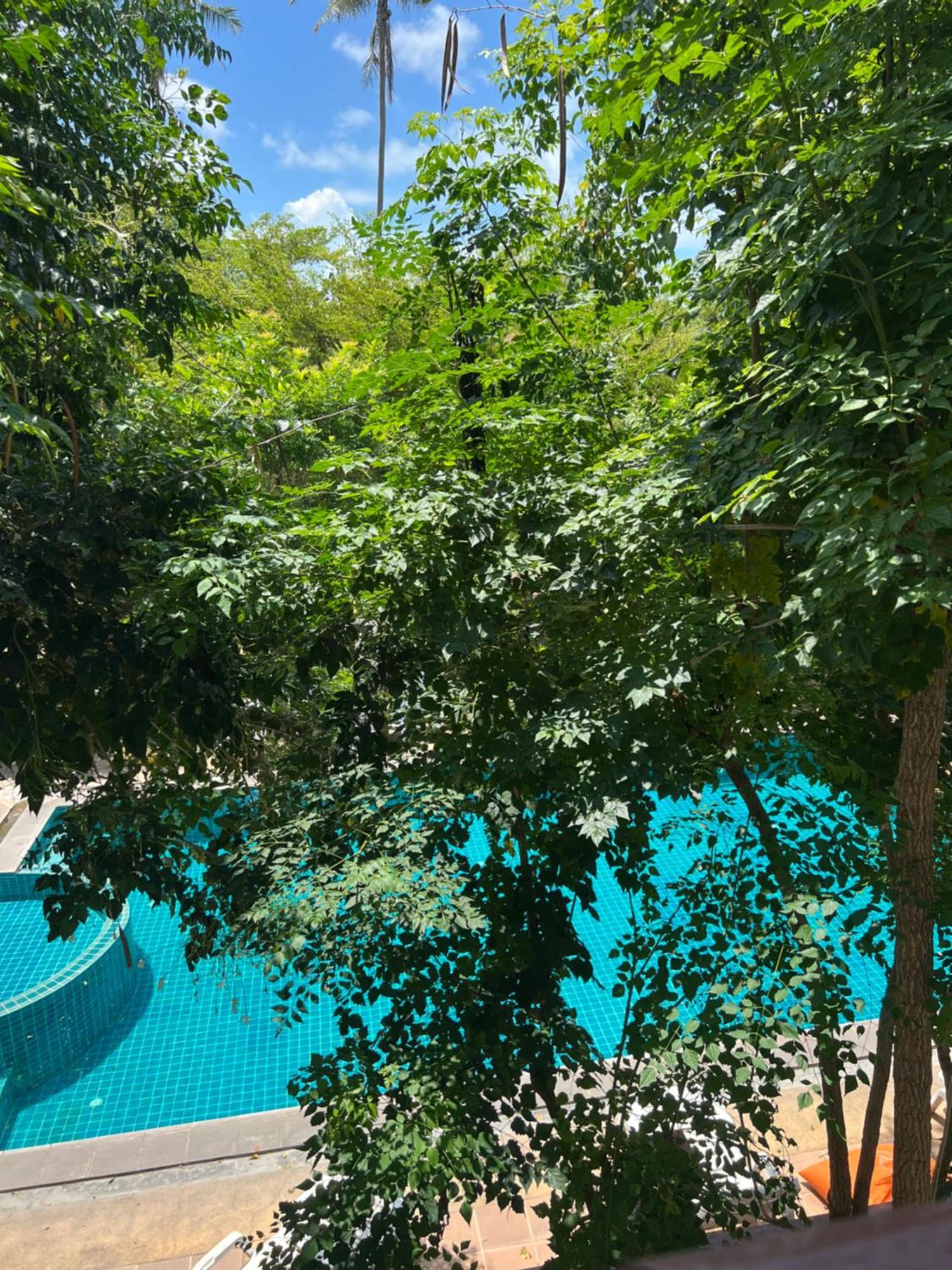 Samui Seabreeze Place Szamuj-sziget Kültér fotó