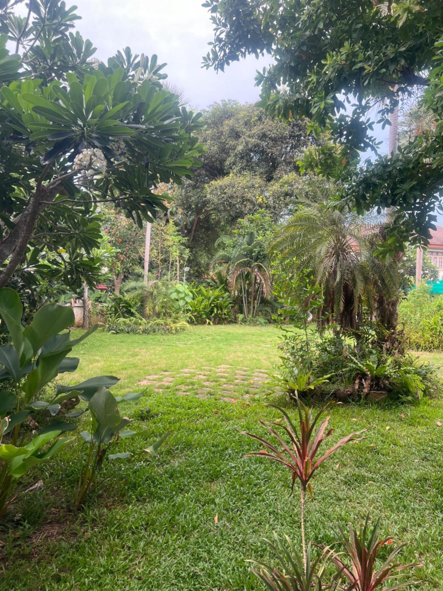 Samui Seabreeze Place Szamuj-sziget Kültér fotó